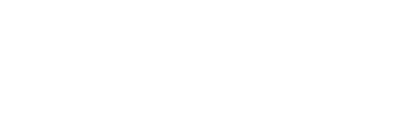 INVISIO